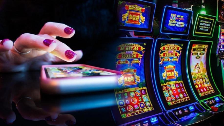 toto21 Live Casino